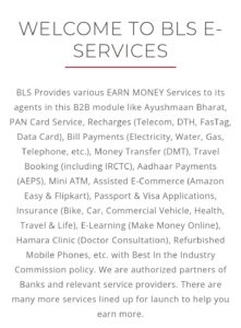 BLS E Services IPO in Marathi