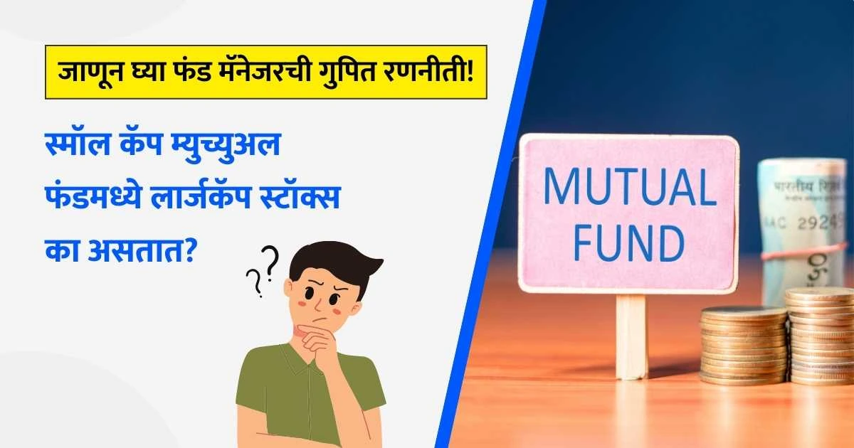 Small Cap Mutual Fund